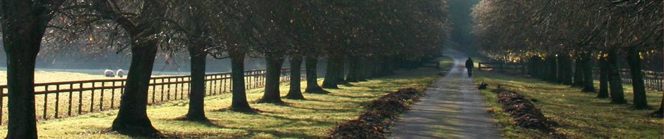 Bisi Blog : English 2100