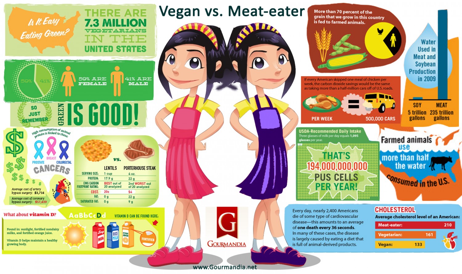 Vegans Vs Meat Eaters Comparative Analysis