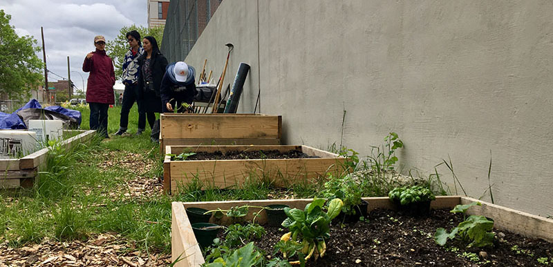 Community Gardens feature