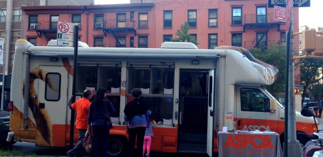 Aspca Mobile Events Promote Adoption In Stuyvesant Town The Manpettan Project