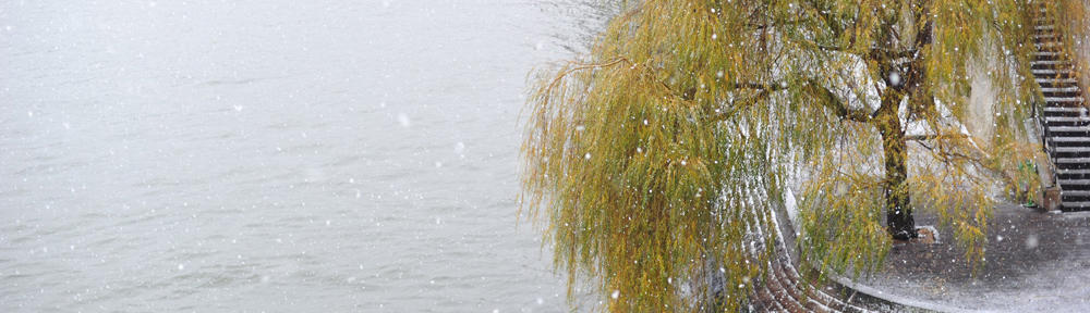 Writing New York: Posts from the Boroughs and Beyond – 2012